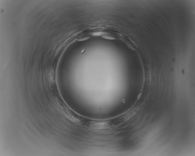 X0000053090081200507111208