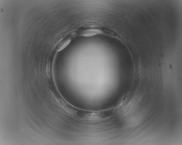 X0000053090082200507111209