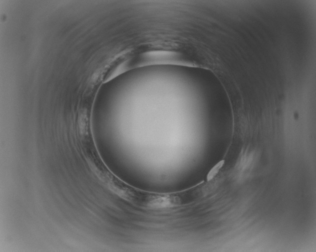 X0000053090083200507111209