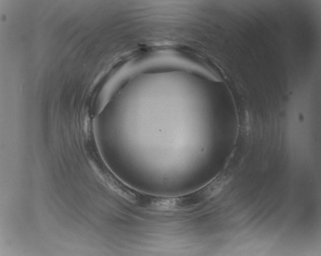 X0000053090084200507111209