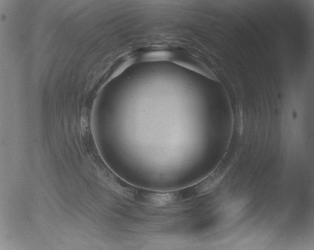 X0000053090085200507111209