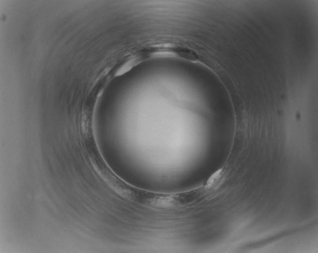 X0000053090086200507111209