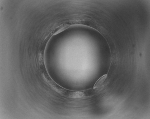 X0000053090087200507111209