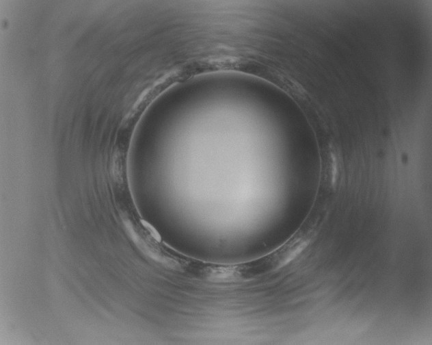 X0000053090088200507111209