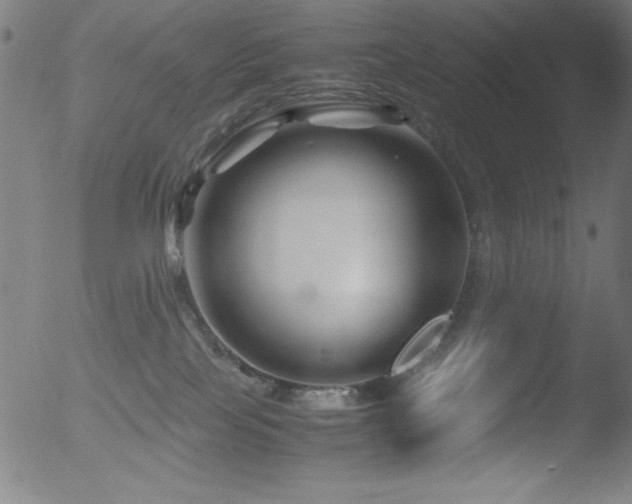 X0000053090089200507111209