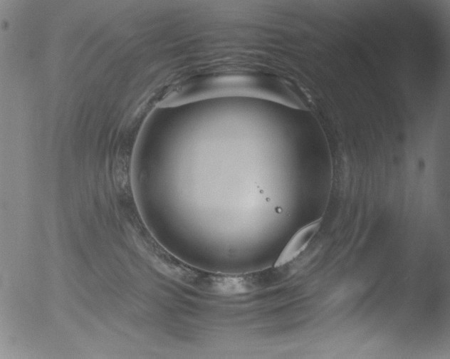 X0000053090091200507111209