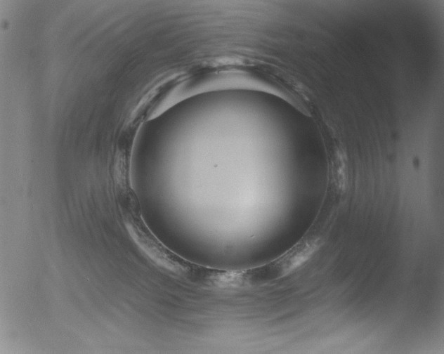 X0000053090092200507111209