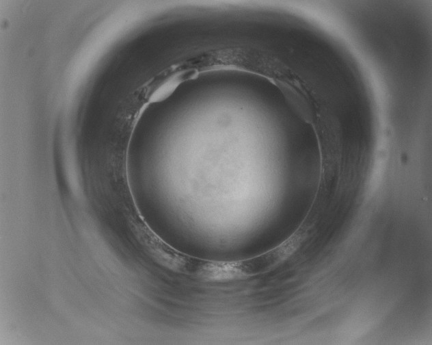 X0000053090093200507111209