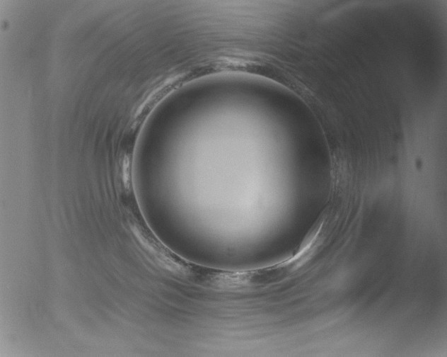 X0000053090094200507111209