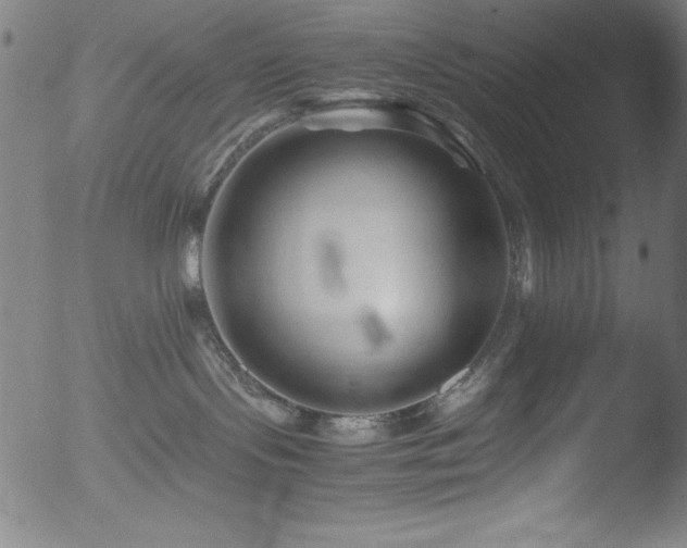 X0000053090095200507111209