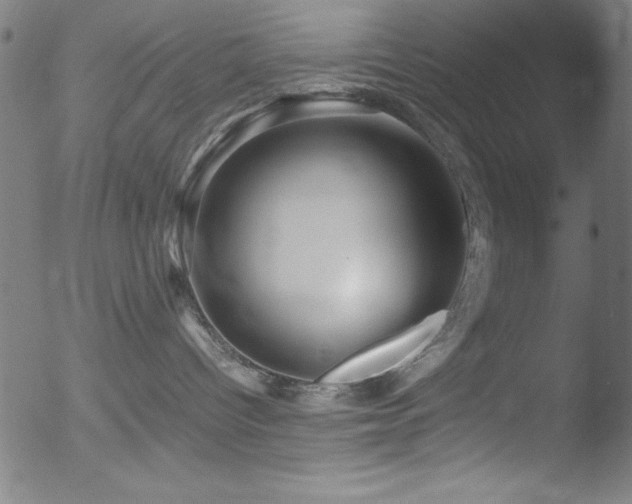 X0000053090096200507111209