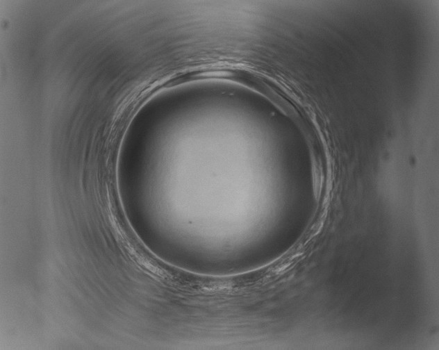 X0000053090097200507111208