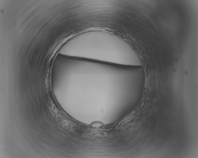 X0000053090098200507111208