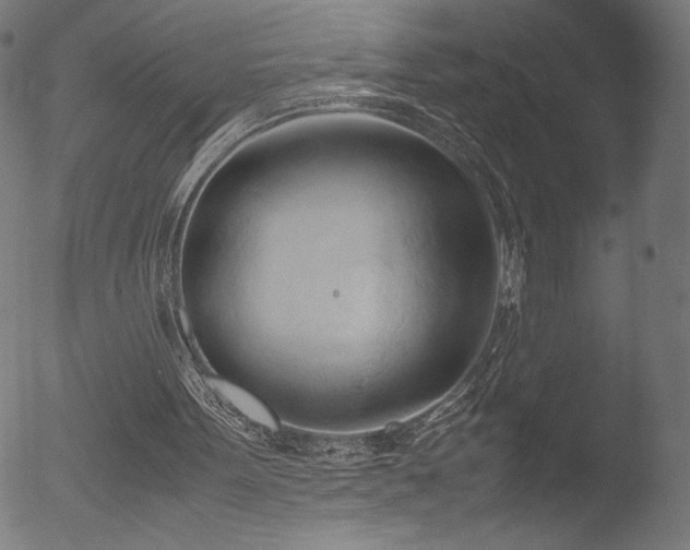 X0000053090099200507111208