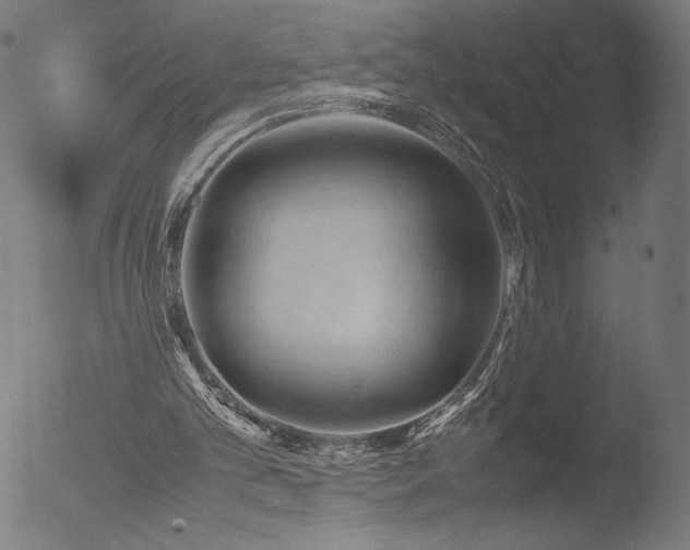 X0000053090101200507111208