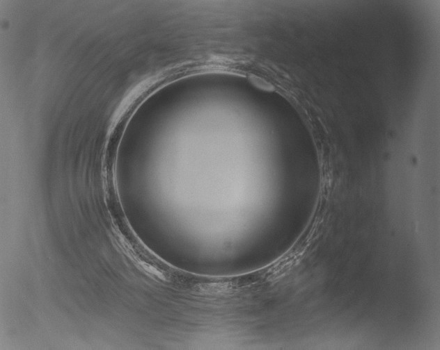 X0000053090102200507111208