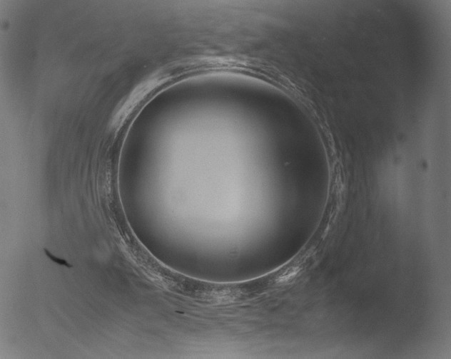 X0000053090103200507111208