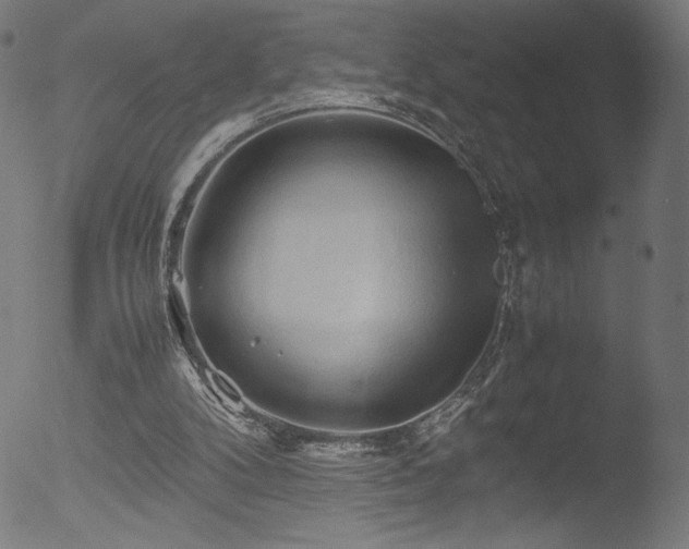 X0000053090104200507111208