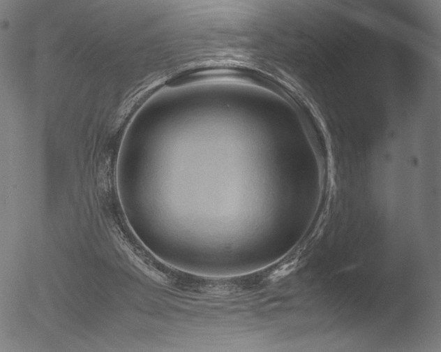 X0000053090105200507111208