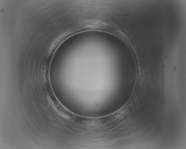 X0000053090106200507111208