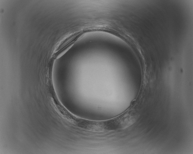 X0000053090107200507111208