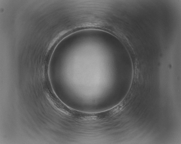 X0000053090108200507111208