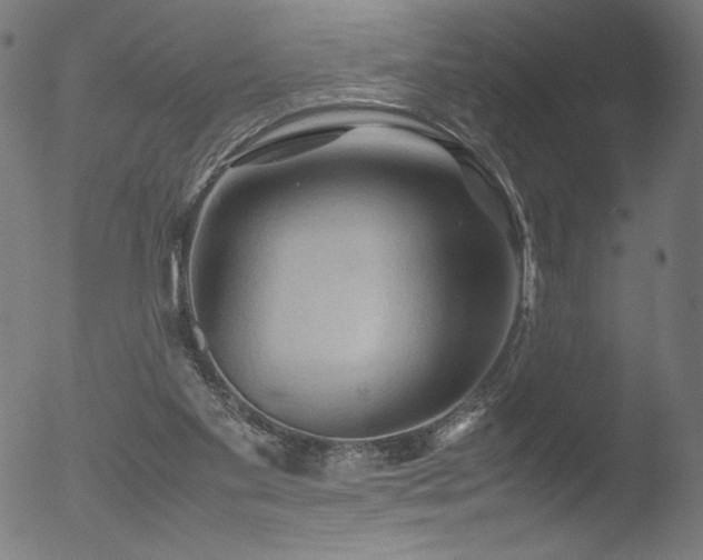 X0000053090109200507111208