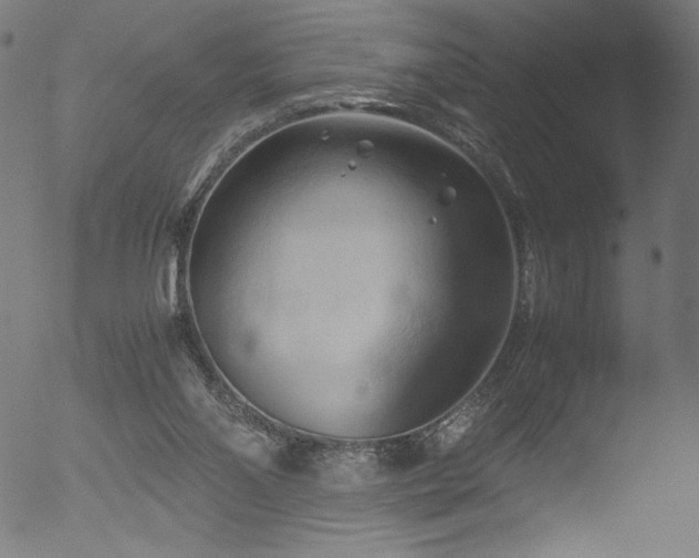 X0000053090110200507111208