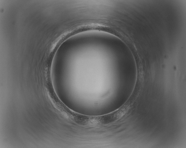 X0000053090111200507111208