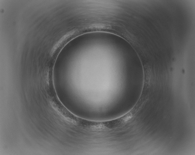 X0000053090112200507111208