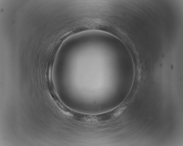 X0000053090113200507111208