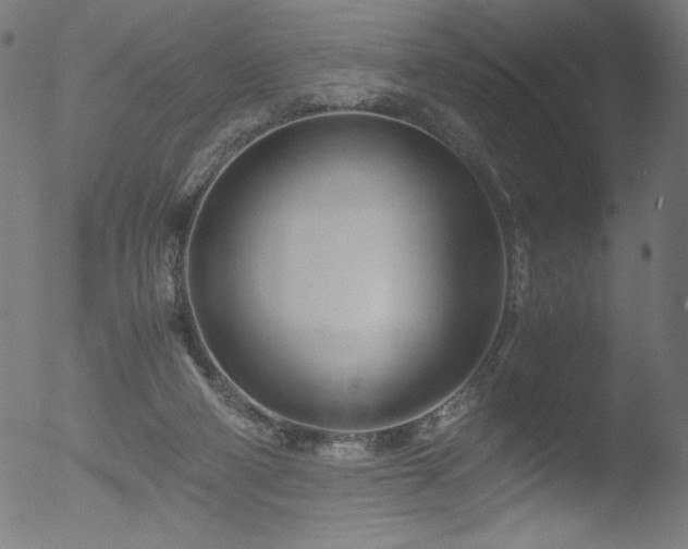 X0000053090114200507111208