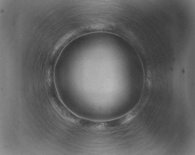 X0000053090116200507111208