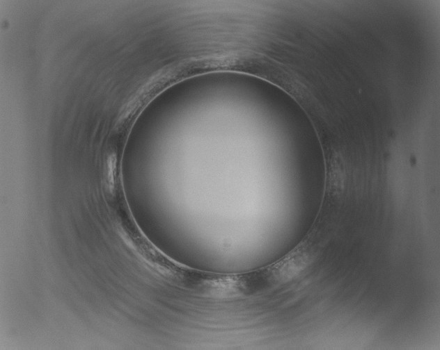 X0000053090118200507111207