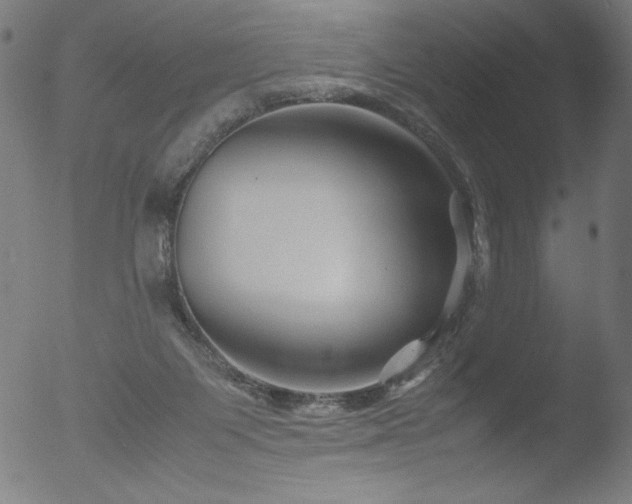 X0000053090119200507111207