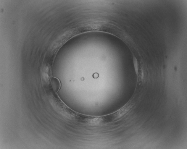 X0000053090122200507111207