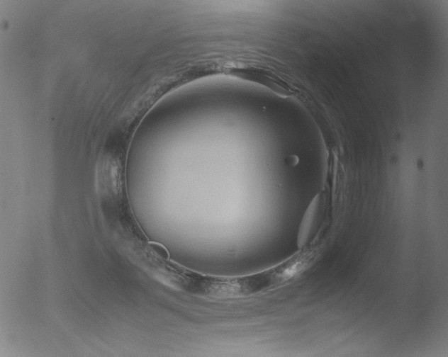 X0000053090123200507111207