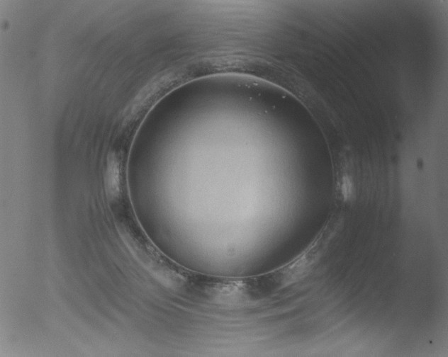 X0000053090124200507111207