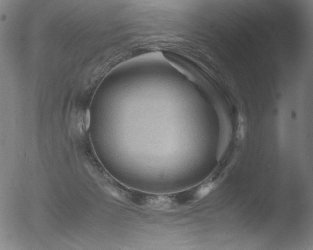 X0000053090125200507111207