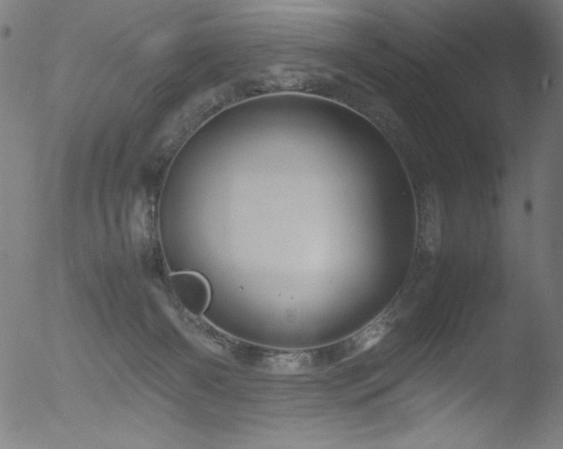 X0000053090126200507111207