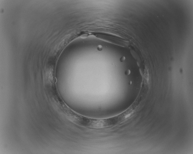 X0000053090127200507111207