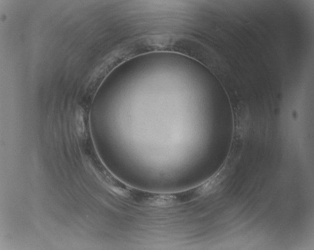 X0000053090128200507111207