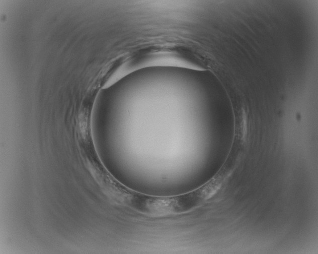 X0000053090129200507111207