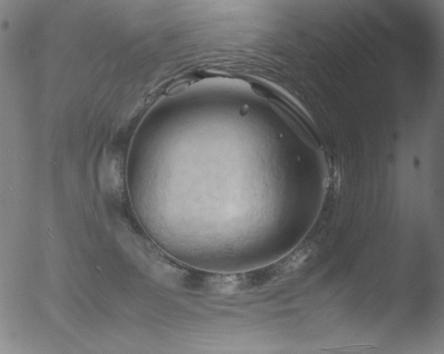 X0000053090131200507111207