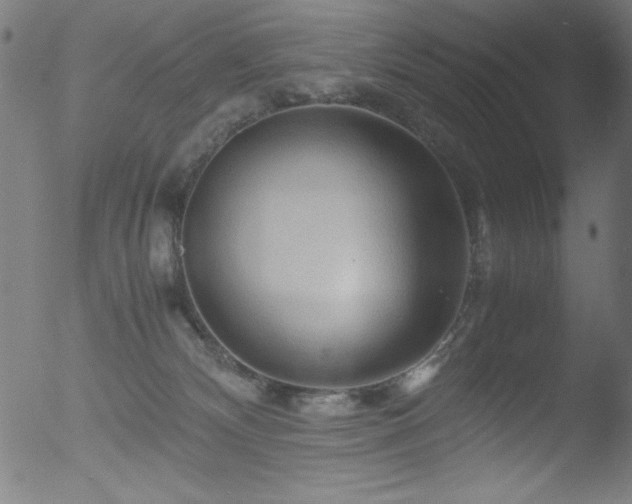 X0000053090132200507111207