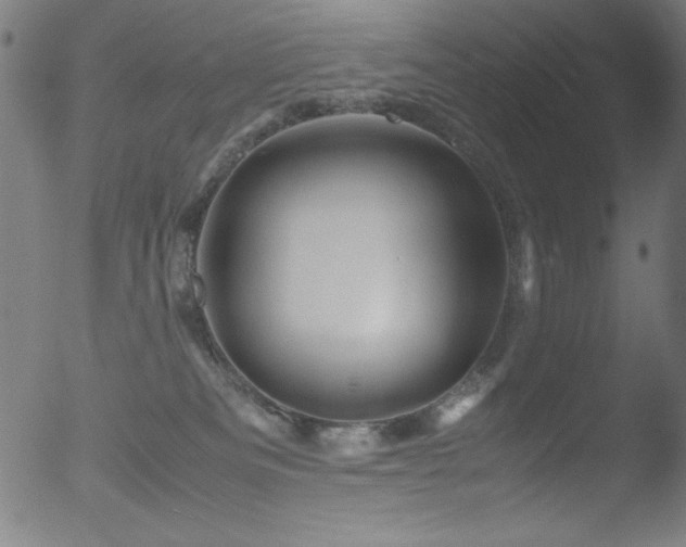 X0000053090133200507111207