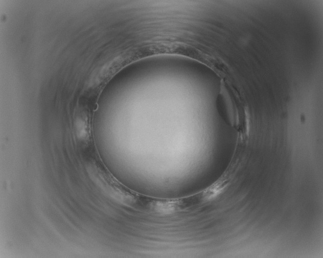 X0000053090134200507111207