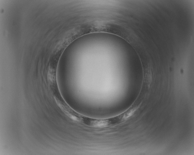 X0000053090135200507111207