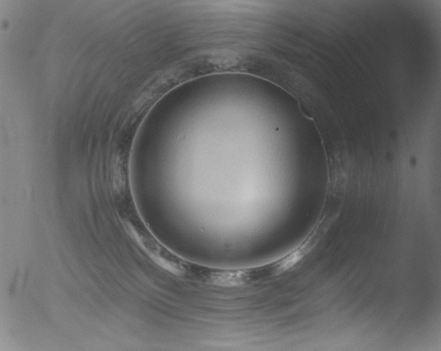 X0000053090136200507111207