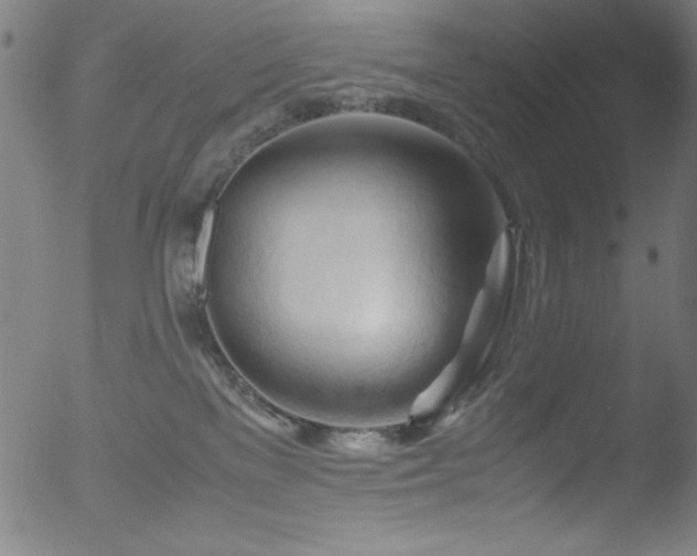 X0000053090137200507111207